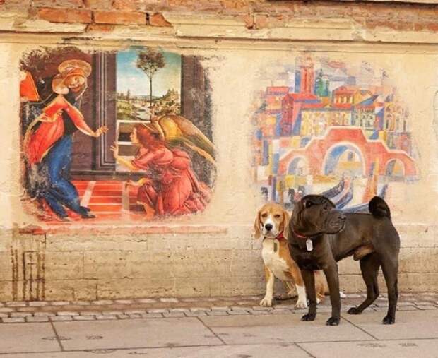 В Петербурге появились уличные фрески с копиями Боттичелли и Никаса Сафронова