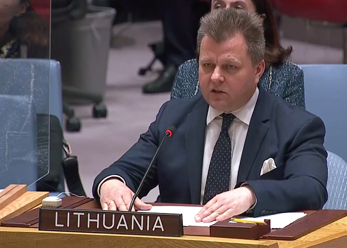 III. Заседание Совета Безопасности ООН №9036 за 13 минут Политика, ООН, Совбез ООН, Длиннопост