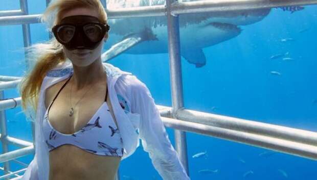 Красавица и чудовища: смелая модель с Гавайев спасает белых акул