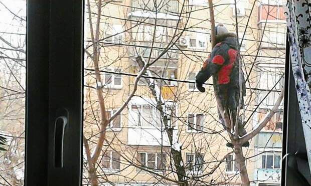 Странные, но одновременно забавные поступки детей