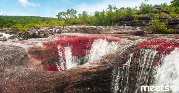 Caño Cristales, Colombia Caño Cristales