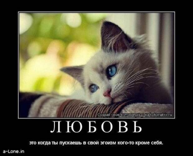 Свежие демотиваторы про любовь (28 фото)