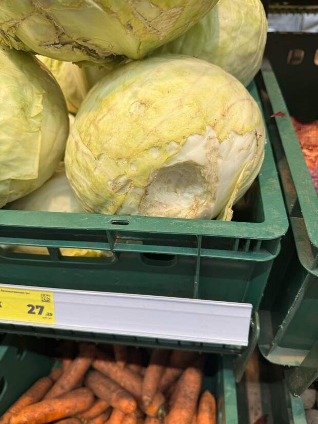 Магнит в Москве закрыли из-за огромных крыс