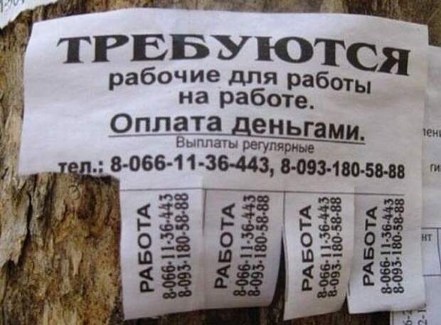 Вот она! подборка, прикол, собеседования, трудоустройство, юмор