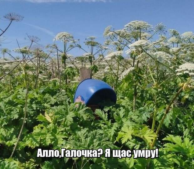 Подборка картинок. Вечерний выпуск (24 фото)