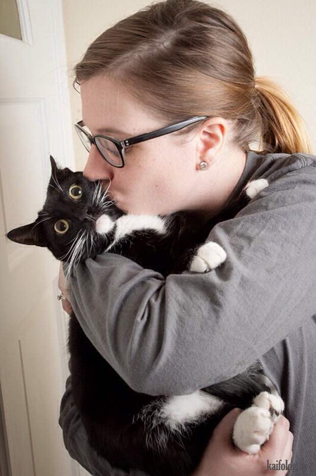 Смешные котики (55 фото)