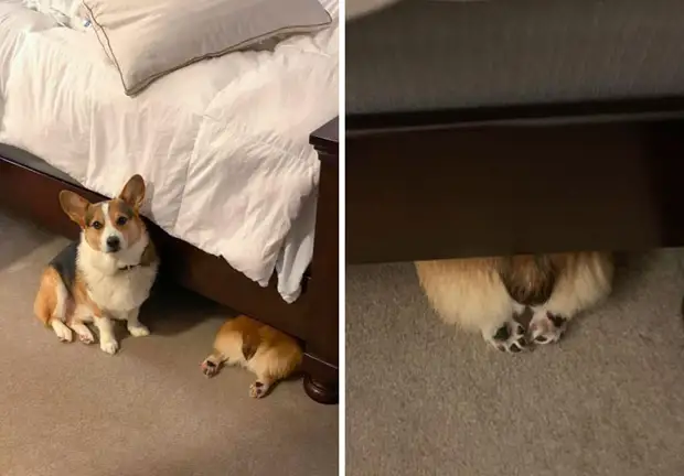 ?