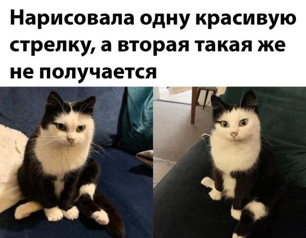 Смешные картинки 27 декабря 2021 года