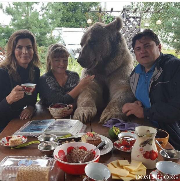 Прикольные картинки