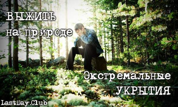 Экстремальное укрытие в лесу | LastDay Club image 5