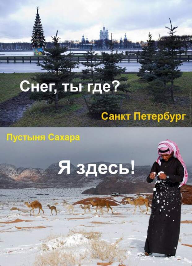Подборка картинок. Дневной выпуск (61 фото)