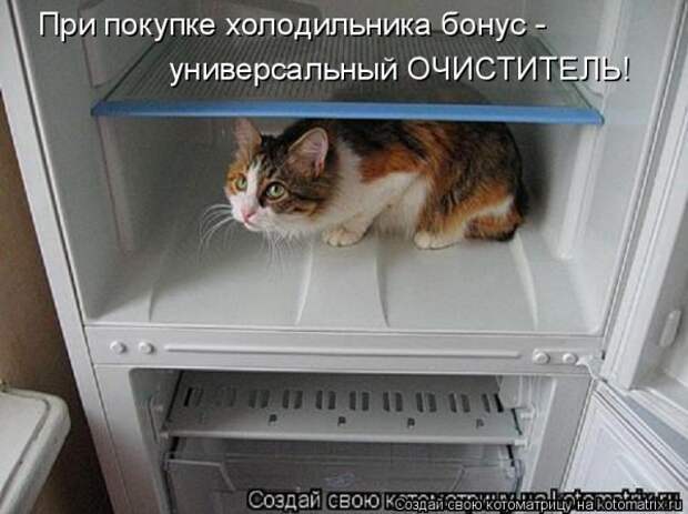 Мысли вслух :)