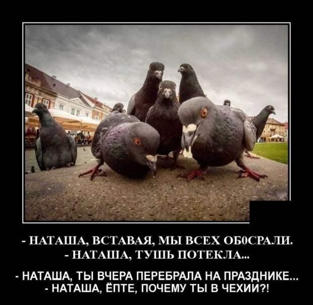 demotivatory-demotivator-smeshnye-demotivatory-demotivator-so-smyslom