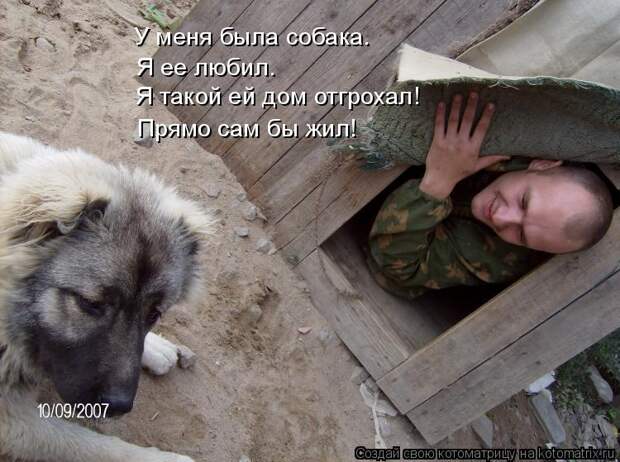 Лучшие котоматрицы недели (50 фото)