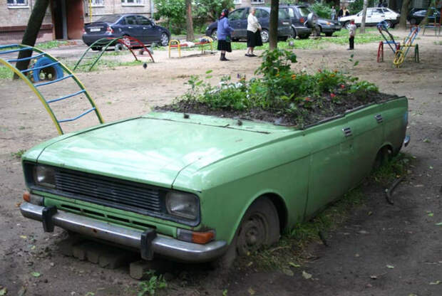 Креативная клумба. Креативная клумба.