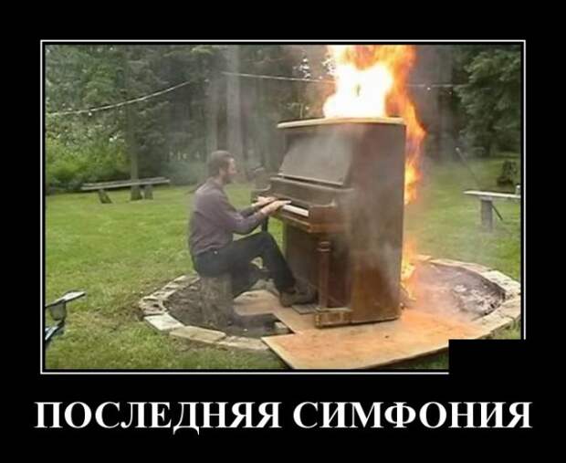 Демотиваторы (30 фото)