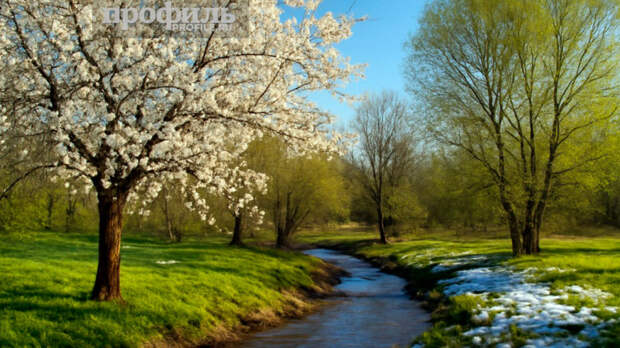 Народные приметы 19 марта: что можно и нельзя делать в этот день