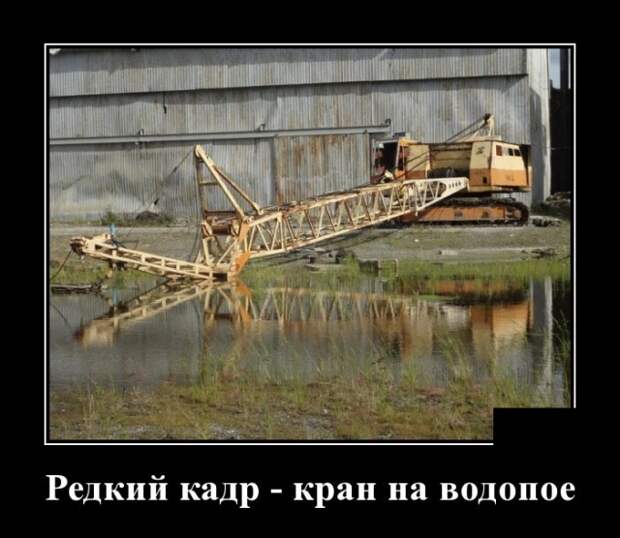 Демотиваторы (30 фото)