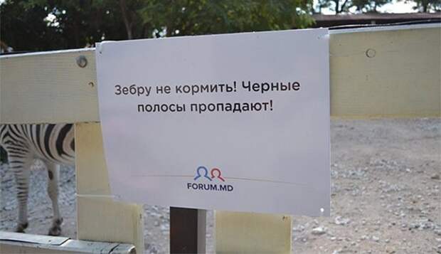 Добро пожаловать в зоопарк!