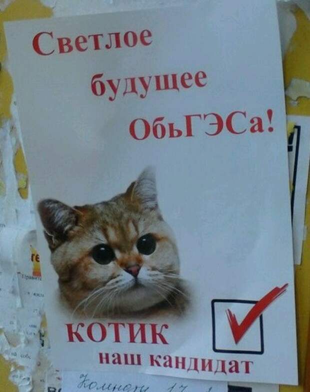 Выборы 2016: такого нам еще не обещали Выборы 2016: такого нам еще не обещали прикол, юмор