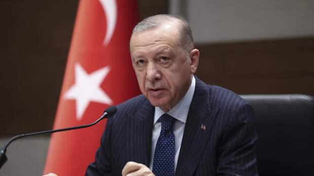 Президент Турции Эрдоган сообщил Путину о возможности организации встречи с Зеленским