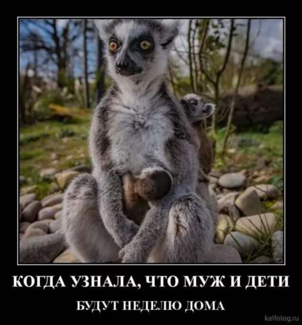 Демотиваторы про коронавирус с надписями. Подборка chert-poberi-dem-koronavirus-chert-poberi-dem-koronavirus-35200208062020-8 картинка chert-poberi-dem-koronavirus-35200208062020-8