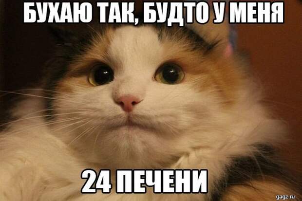 podborka_horoshego_nastroeniya_gagz_ru_001488