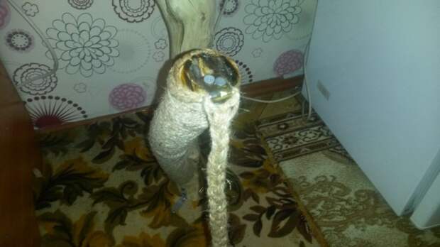 15. Согласен, не эстетично, но в планах есть приклеить на верхний пятак кусок меха. 15. Согласен, не эстетично, но в планах есть приклеить на верхний пятак кусок меха. животные, коты, своими руками, сделай сам