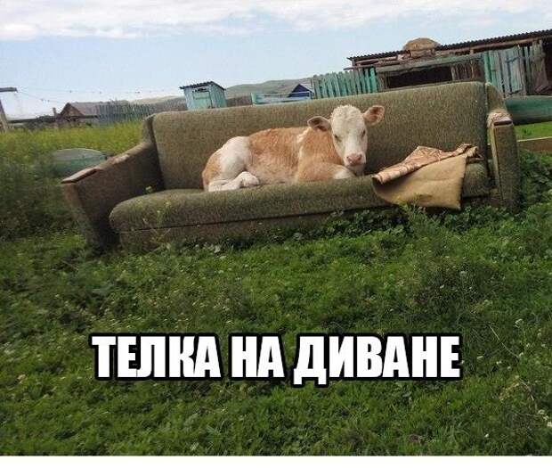 Позитивный пост+ 152 Позитивный пост+ 152