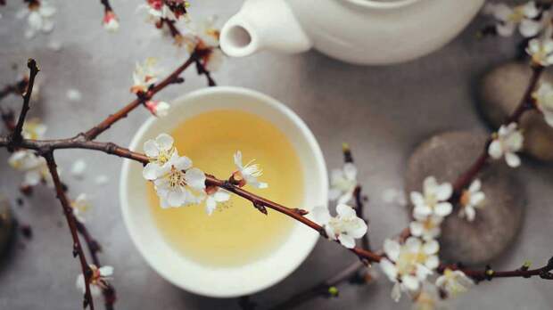 Чем полезен белый чай для женщин?
