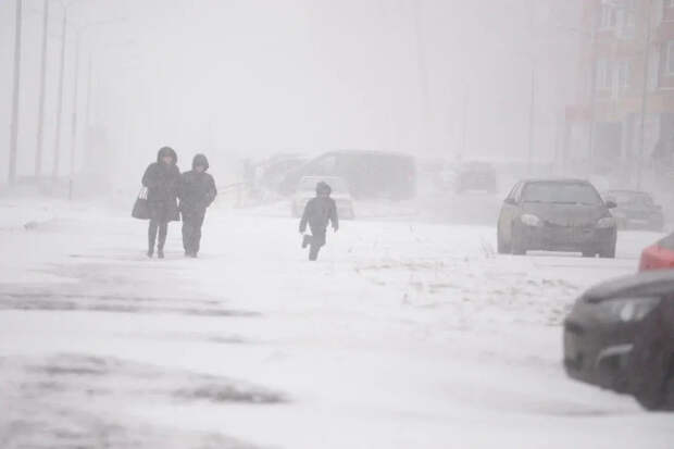 В США во время снежного шторма погибли не меньше 30 человек