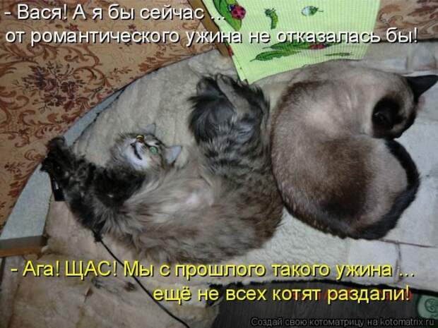 Самые лучшие котоматрицы прошедшей недели Самые лучшие котоматрицы прошедшей недели