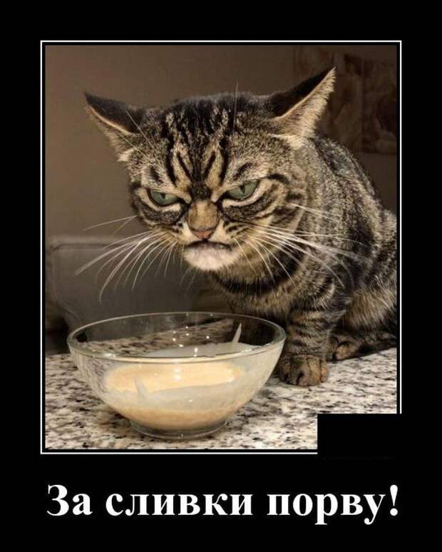 demotivatory-demotivator-smeshnye-demotivatory-demotivator-so-smyslom