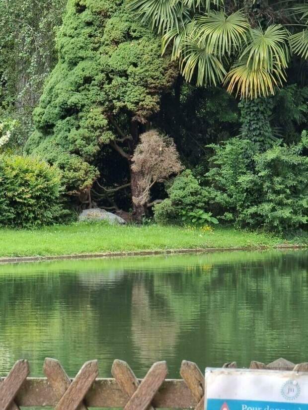 Bigpicture ru без названия 2022 10 10t091936.035