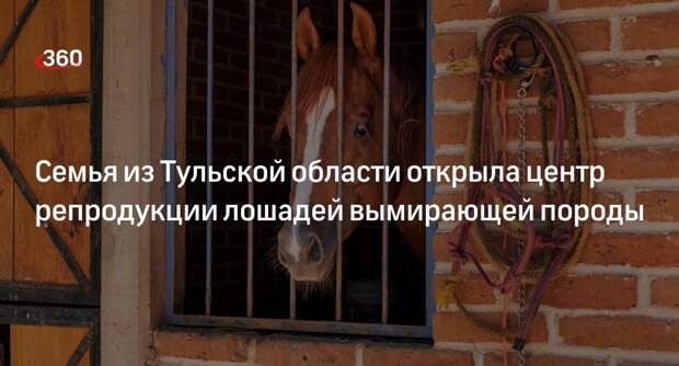 Shot: тульская семья Булановых пытается спасти вымирающую породу лошадей