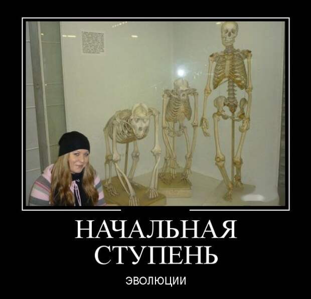 Демотиваторы (30 фото)