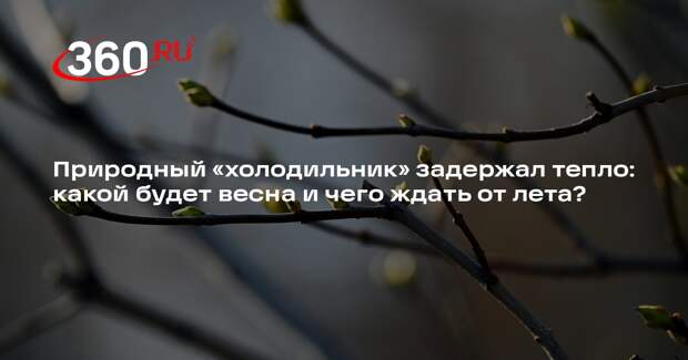 Тишковец: весна будет с бурным половодьем, а лето — «зачетным»