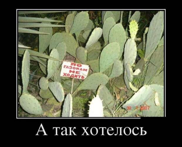 GtPaOE1mGsY
