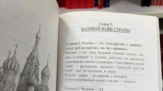 Конституция для зумеров / Фото: соцсети