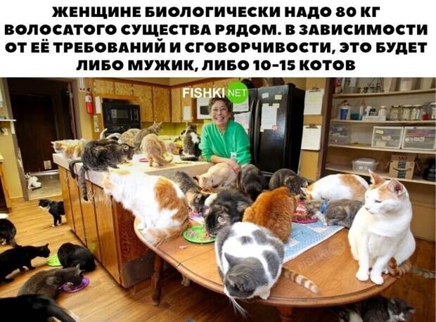 Что-то в этом есть Что-то в этом есть