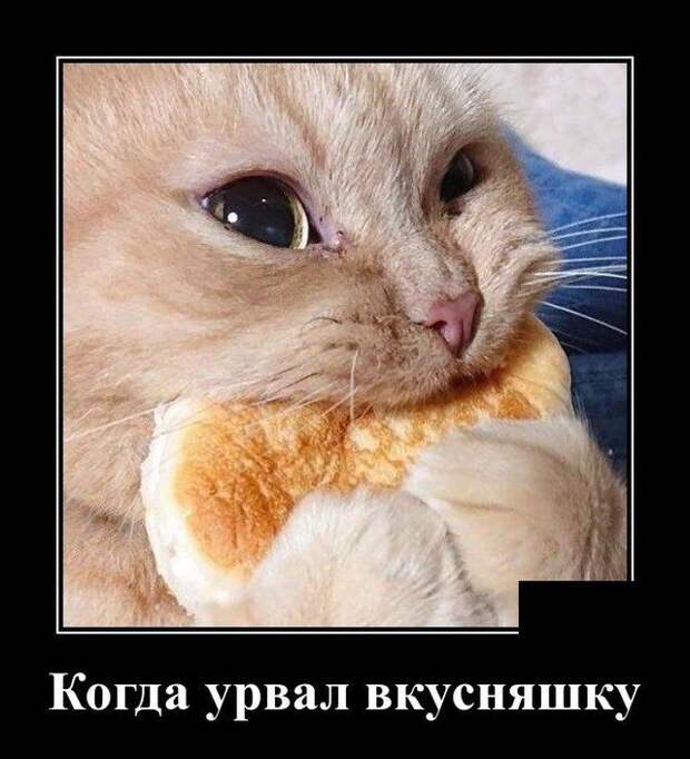 demotivatory-demotivator-smeshnye-demotivatory-demotivator-so-smyslom