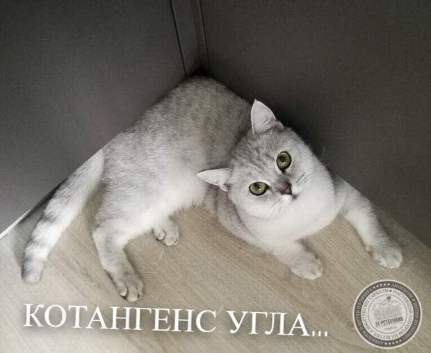 Котангенс