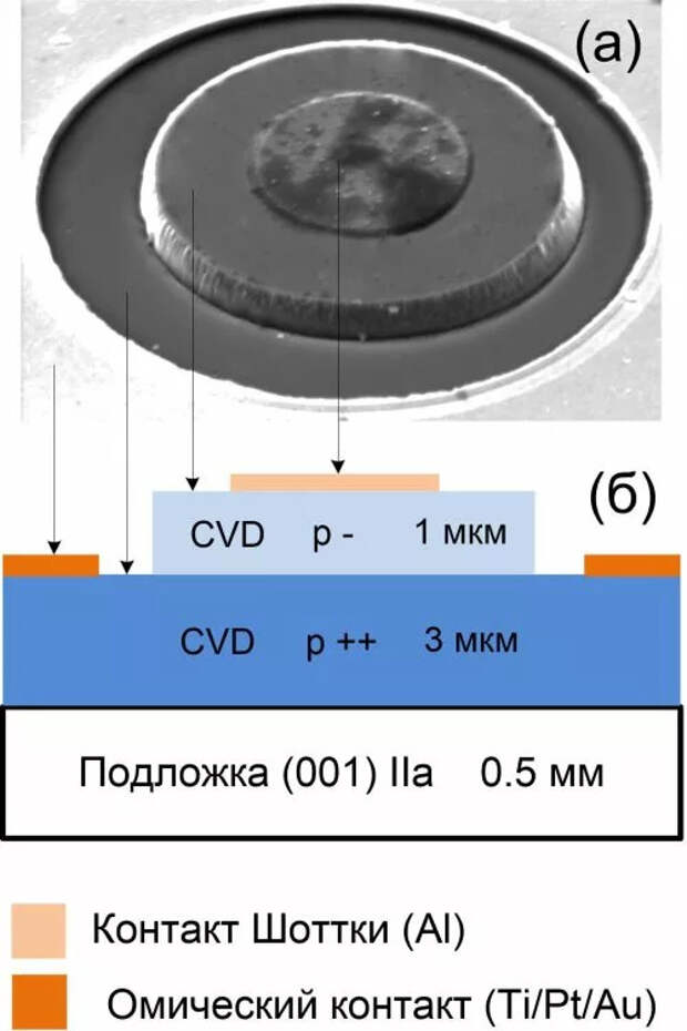 Алмазные диоды Шоттки создали в Институте прикладной физики РАН