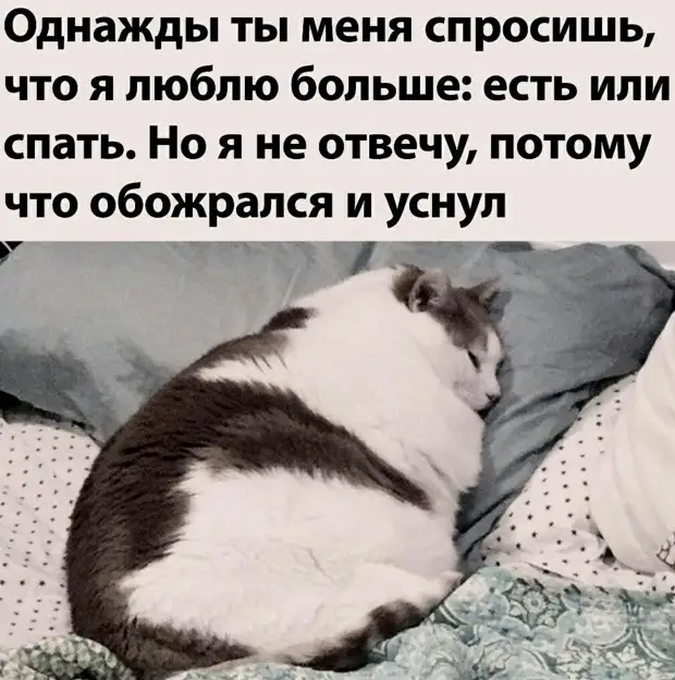 - Если муравей поднимает в 10 раз больше своего веса, то 50 грамм муравьёв можно послать за бутылкой пива... - Если муравей поднимает в 10 раз больше своего веса, то 50 грамм муравьёв можно послать за бутылкой пива... чтото, ребенка, дверь, женщина, Кутькин, своей, стыдно, значит, вестники, палочку, спрашивает, совсем, оргию, соседи, наблюдали, ваших, окнах, Бегали, голяка, супругой