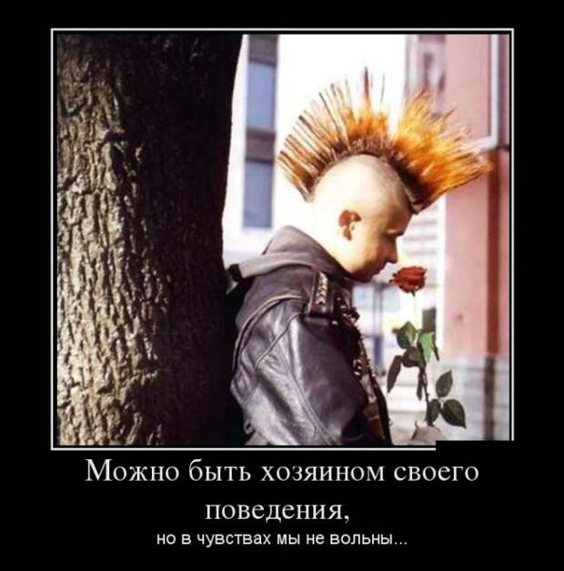 Демотиваторы (30 фото)