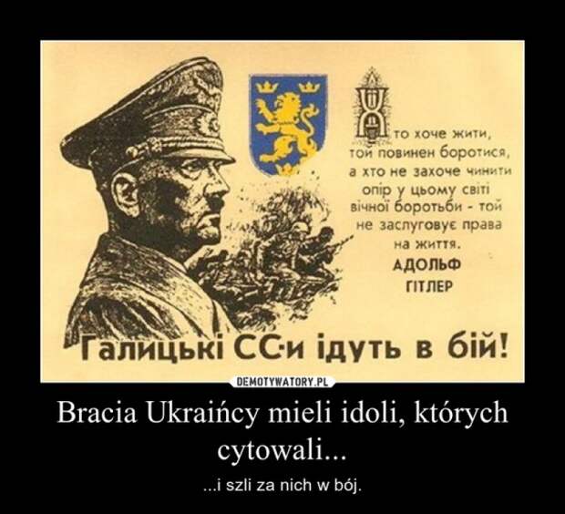Польский спортсмен об Украине: «Давайте закончим это фальшивое братство»