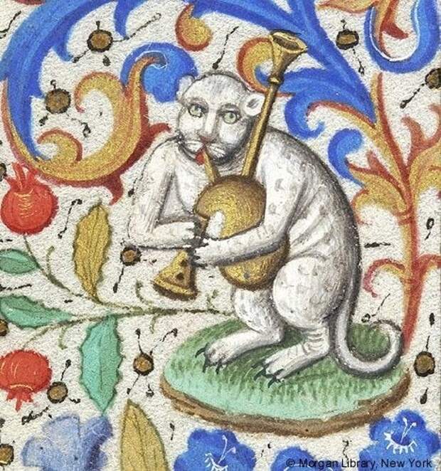 3. Усталый и уродливый кот просто хочет играть на волынке коты, средние века, страдающее средневековье, ужас
