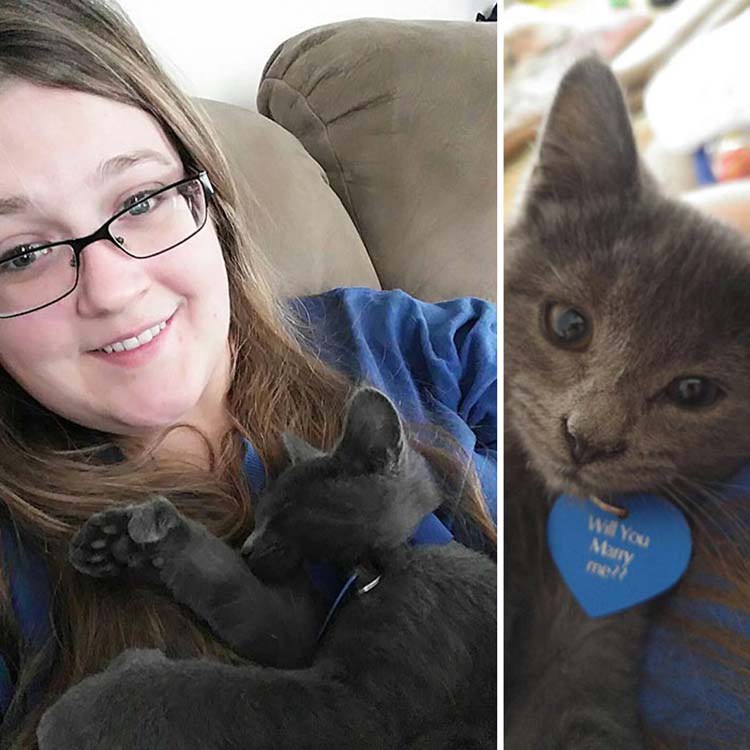 man-proposes-girlfriend-tiny-rescue-cat-vinegret-3
