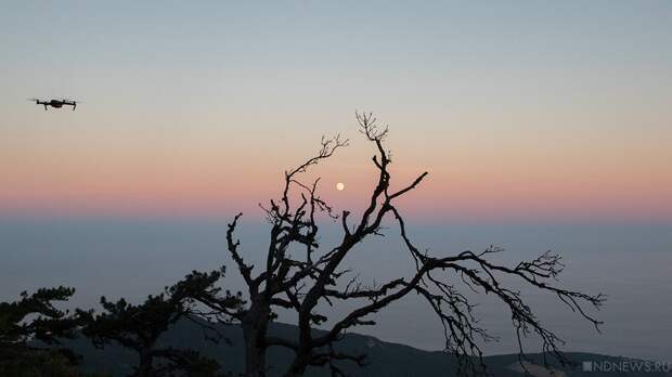 Средства ПВО за ночь уничтожили 80 украинских дронов