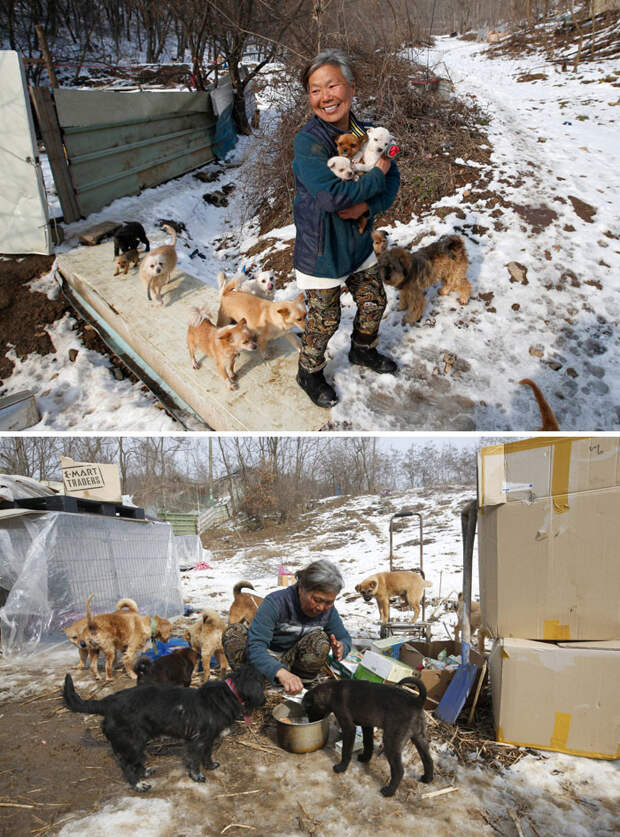 51. Жительница Южной Кореи, спасшая 200 собак  доброта, мир, поступок